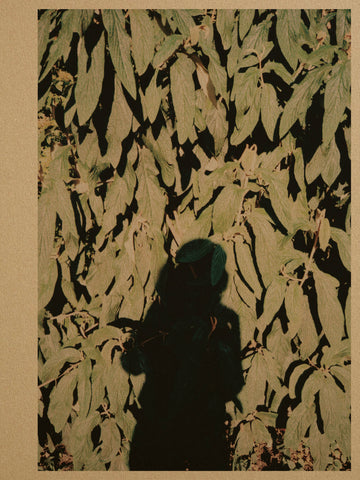 DRWNG PHTGRPH RCHV Anouk Griffioen